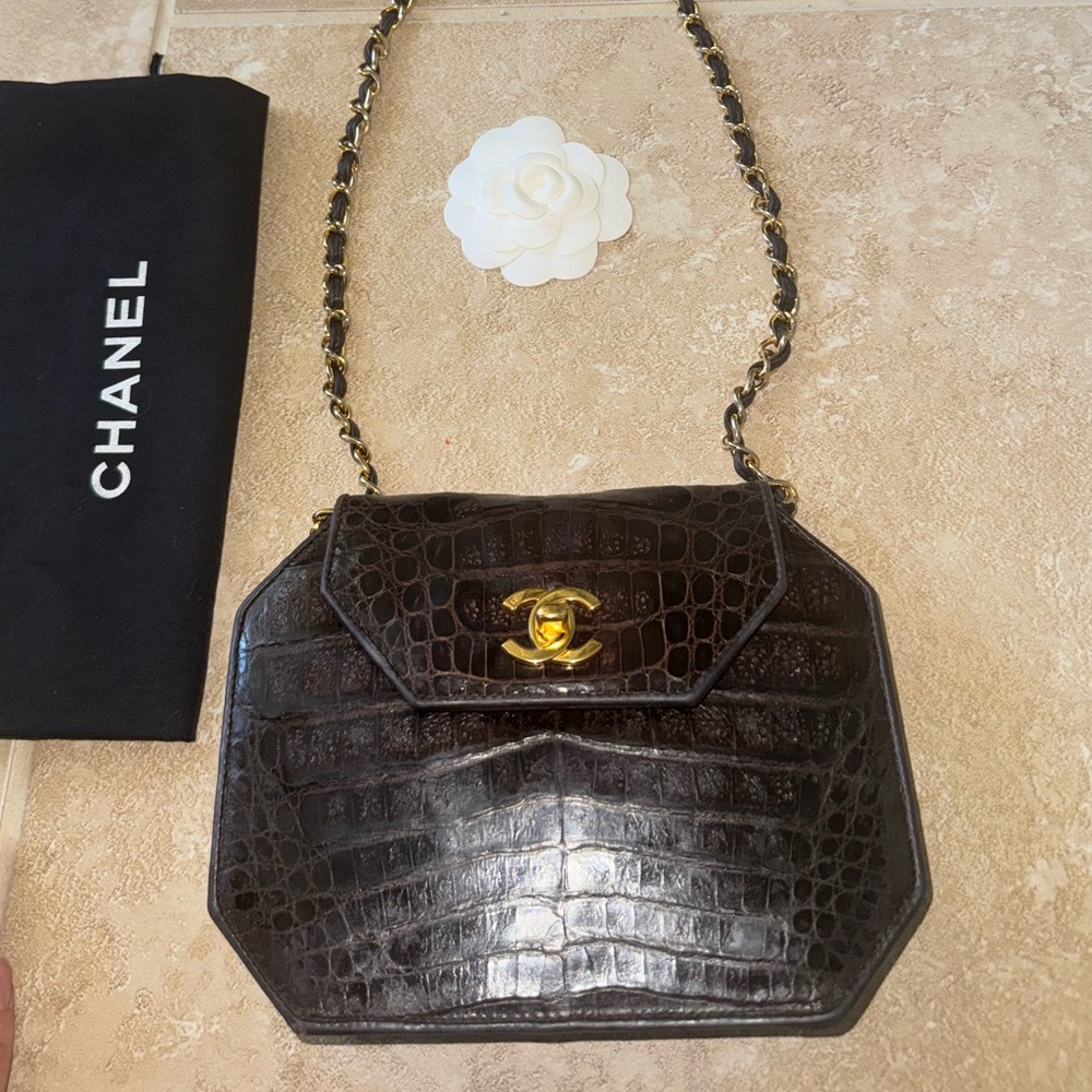 Chanel crocodile brown stunning bag - Picture 3 of 14